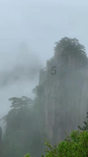 了解为什么隋朝会灭亡?,加入知识星球平台