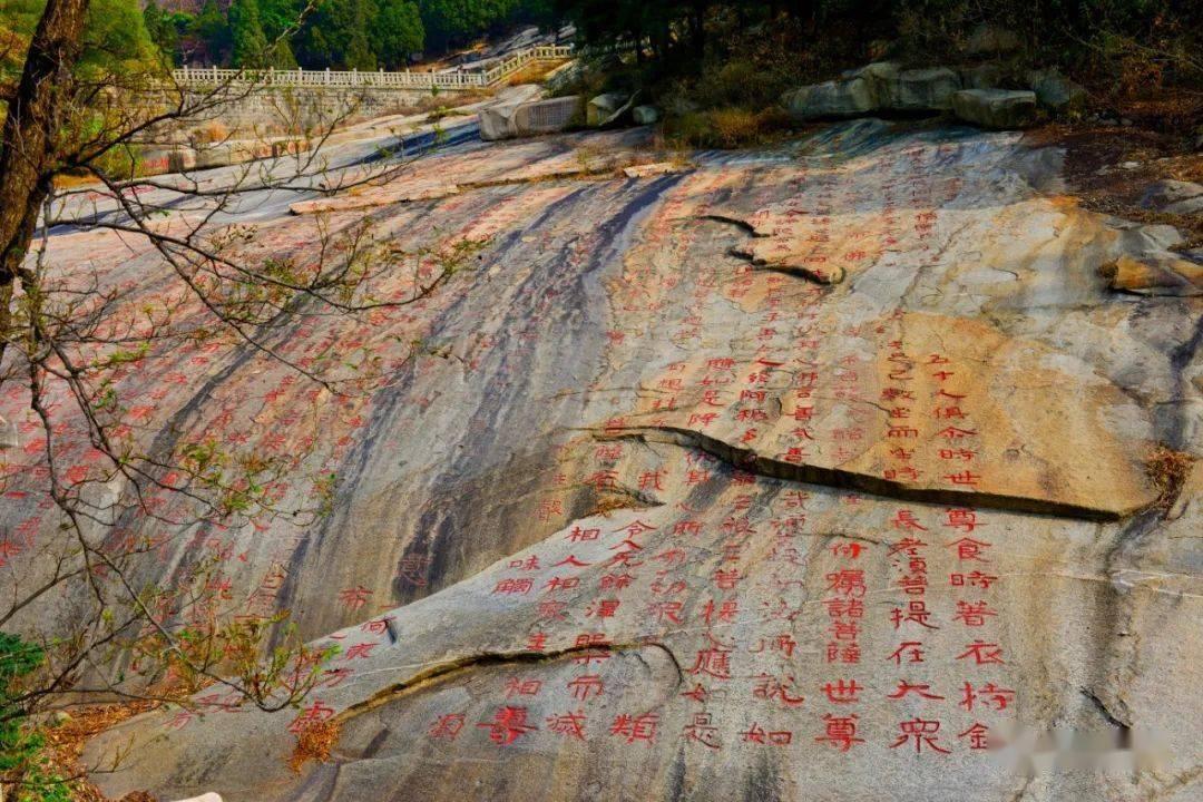 尽在win10 ie打开未响应怎么办,解答疑问交流平台
